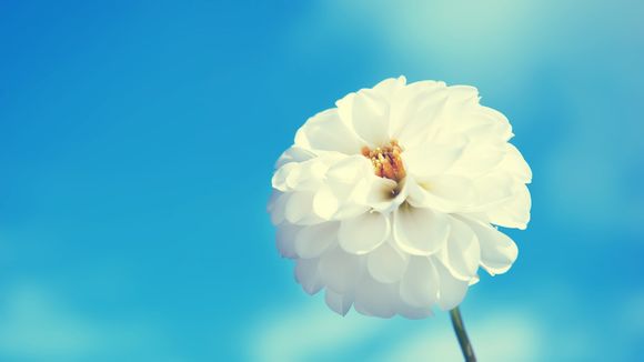 注册淘宝会员名是什么怎么填