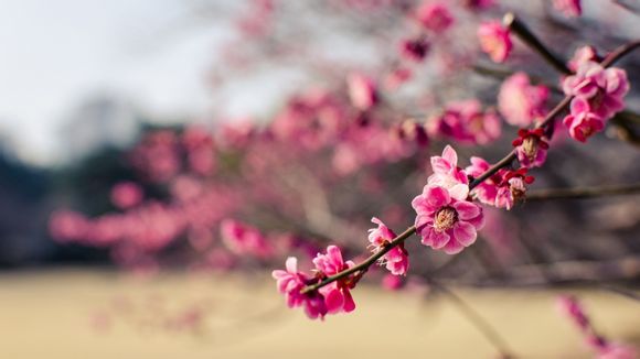 农业银行外包什么意思
