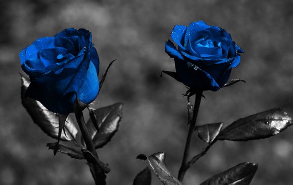 华为屏蔽短信在哪里看
