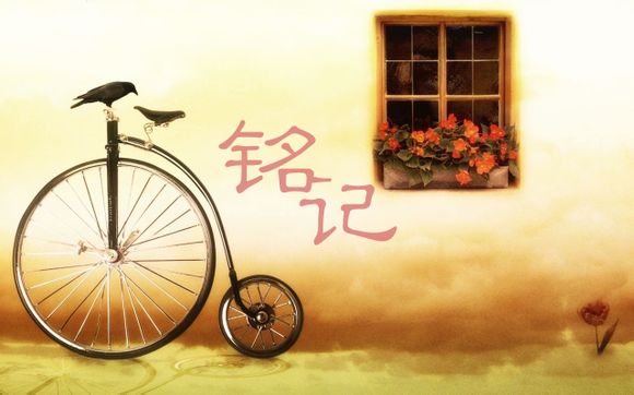司琛这个名字怎么样好听吗